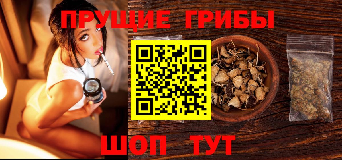 Электросталь  Псилоцибиновые грибы GOLDEN TEACHER  Вход с VPN  Псилоцибиновые грибы MAGIC MUSHROOMS 